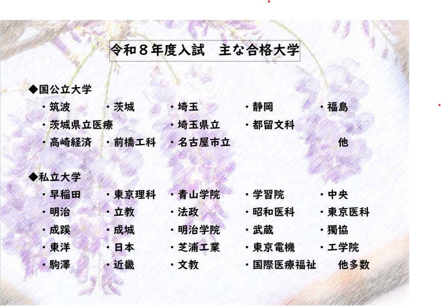 主な合格大学